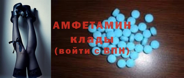 мет Алексин