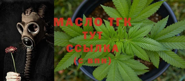 крисы Осинники