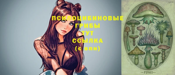 экстази Алексеевка